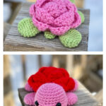 Amigurumi Rosy Turtle Free Crochet Pattern
