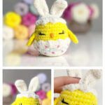 Chick in Easter Egg Free Crochet Pattern