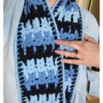 Kittens in a Row Scarf Free Crochet Pattern
