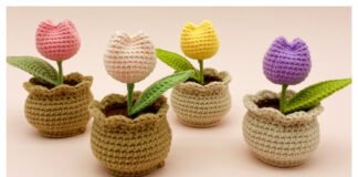 Mini Tulip Pot Amigurumi Free Crochet Pattern