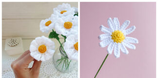 Daisy Flower Crochet Patterns