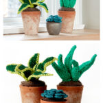 Succulents Free Crochet Pattern and Video Tutorial