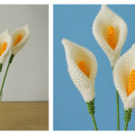 Peace Lily Flower Free Crochet Pattern